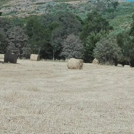 بيت خشبي Casa Do Tarrao Bilho